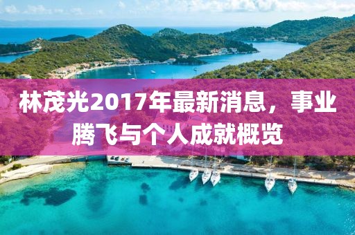林茂光2017年最新消息，事业腾飞与个人成就概览