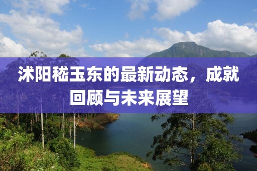 沭阳嵇玉东的最新动态，成就回顾与未来展望