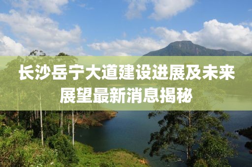 长沙岳宁大道建设进展及未来展望最新消息揭秘