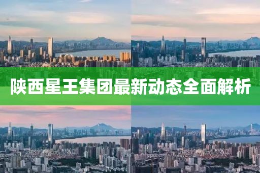 陕西星王集团最新动态全面解析