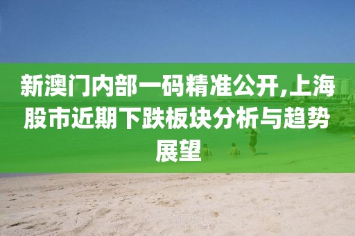 新澳门内部一码精准公开,上海股市近期下跌板块分析与趋势展望