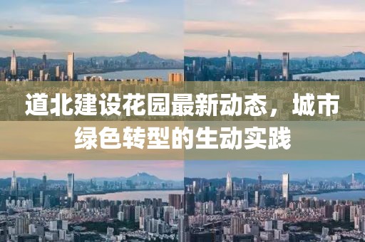 道北建设花园最新动态，城市绿色转型的生动实践