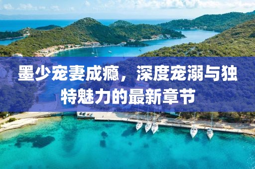 墨少宠妻成瘾，深度宠溺与独特魅力的最新章节