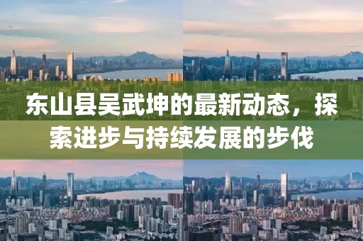 东山县吴武坤的最新动态，探索进步与持续发展的步伐