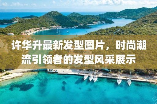 许华升最新发型图片，时尚潮流引领者的发型风采展示