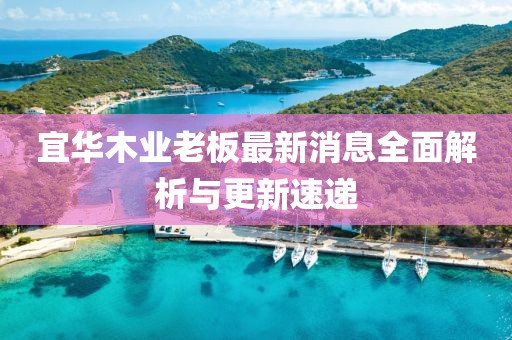 宜华木业老板最新消息全面解析与更新速递