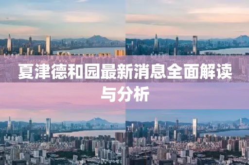 夏津德和园最新消息全面解读与分析