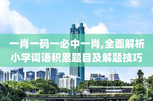 一肖一码一必中一肖,全面解析小学词语积累题目及解题技巧