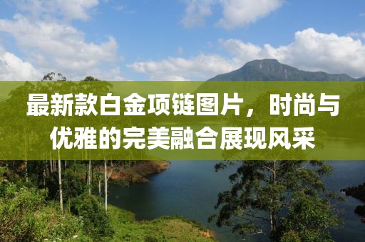最新款白金项链图片，时尚与优雅的完美融合展现风采