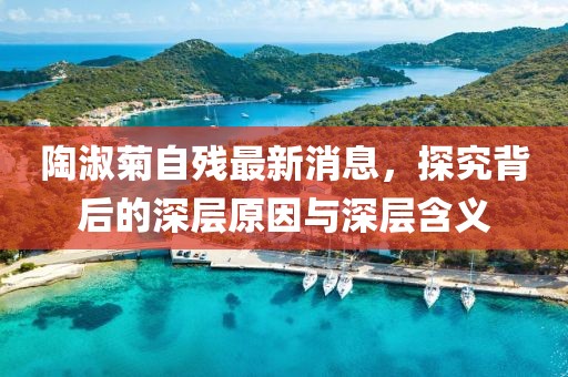 陶淑菊自残最新消息，探究背后的深层原因与深层含义