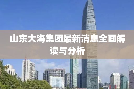 山东大海集团最新消息全面解读与分析