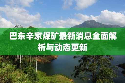 巴东辛家煤矿最新消息全面解析与动态更新