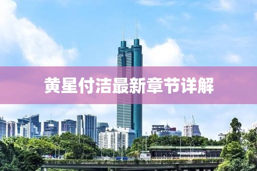 黄星付洁最新章节详解