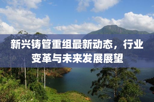 新兴铸管重组最新动态，行业变革与未来发展展望