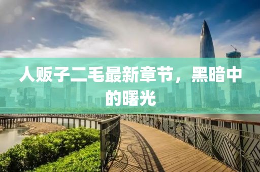 人贩子二毛最新章节，黑暗中的曙光
