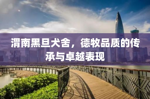 渭南黑旦犬舍，德牧品质的传承与卓越表现