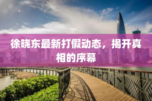 徐晓东最新打假动态，揭开真相的序幕