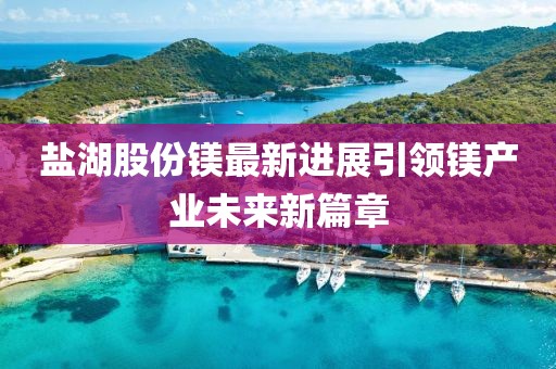 盐湖股份镁最新进展引领镁产业未来新篇章