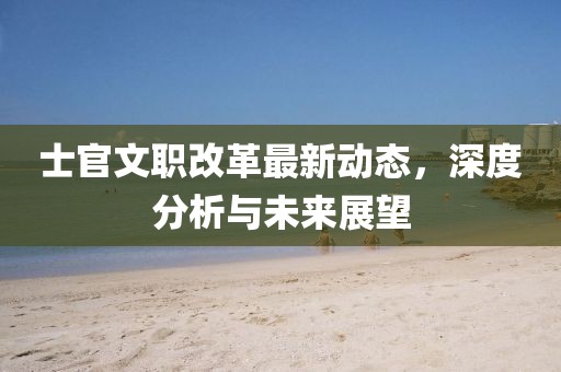士官文职改革最新动态，深度分析与未来展望