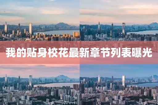 我的贴身校花最新章节列表曝光