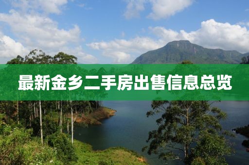 最新金乡二手房出售信息总览