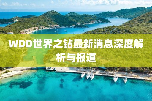 WDD世界之钻最新消息深度解析与报道