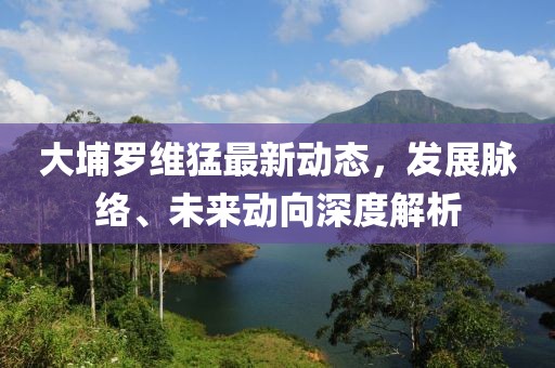 大埔罗维猛最新动态，发展脉络、未来动向深度解析