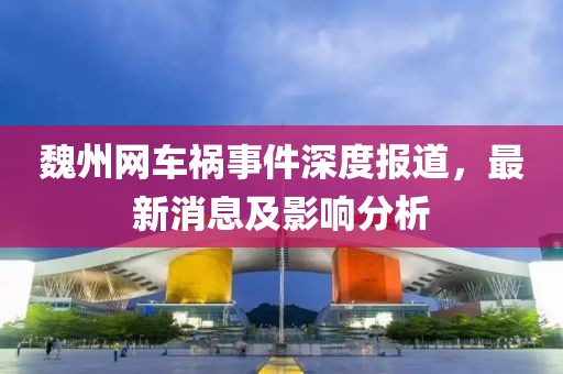 魏州网车祸事件深度报道，最新消息及影响分析
