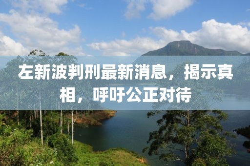 左新波判刑最新消息，揭示真相，呼吁公正对待