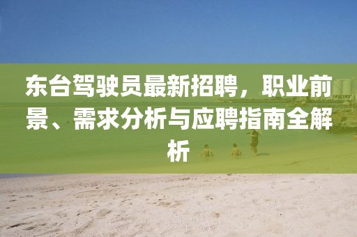 东台驾驶员最新招聘，职业前景、需求分析与应聘指南全解析