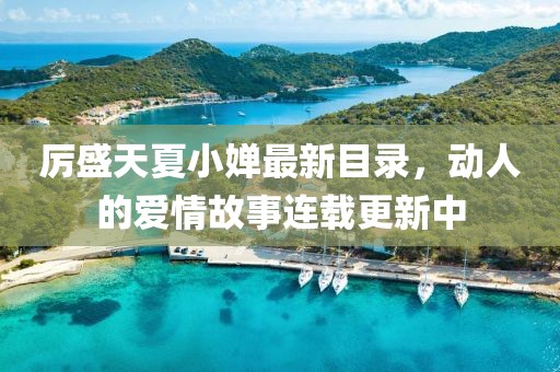 厉盛天夏小婵最新目录，动人的爱情故事连载更新中