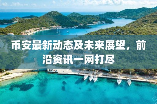 币安最新动态及未来展望，前沿资讯一网打尽