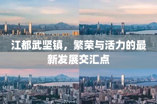 江都武坚镇，繁荣与活力的最新发展交汇点