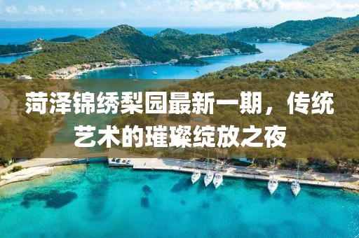 菏泽锦绣梨园最新一期，传统艺术的璀璨绽放之夜