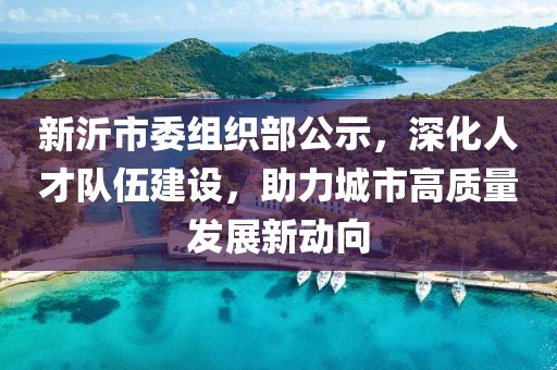 新沂市委组织部公示，深化人才队伍建设，助力城市高质量发展新动向