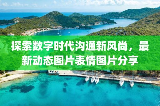 探索数字时代沟通新风尚，最新动态图片表情图片分享