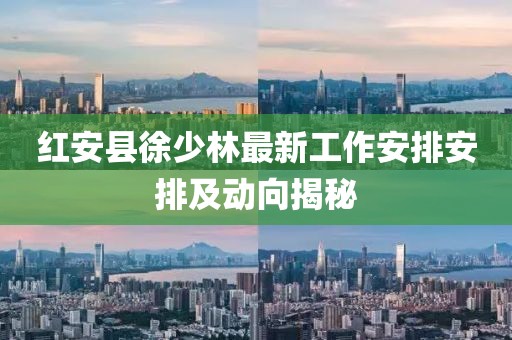 红安县徐少林最新工作安排安排及动向揭秘