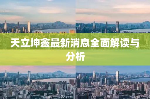天立坤鑫最新消息全面解读与分析