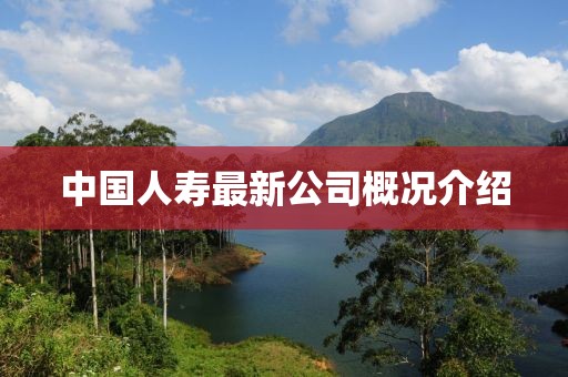 中国人寿最新公司概况介绍