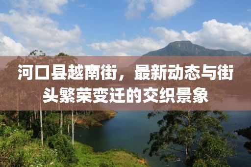 河口县越南街，最新动态与街头繁荣变迁的交织景象