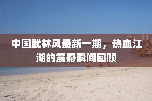 中国武林风最新一期，热血江湖的震撼瞬间回顾