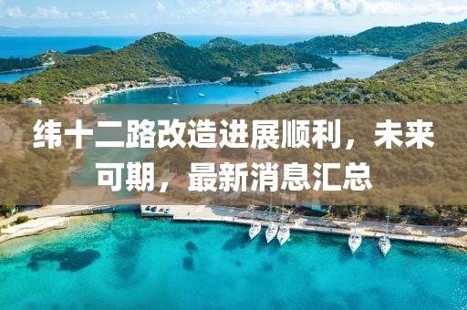 纬十二路改造进展顺利，未来可期，最新消息汇总