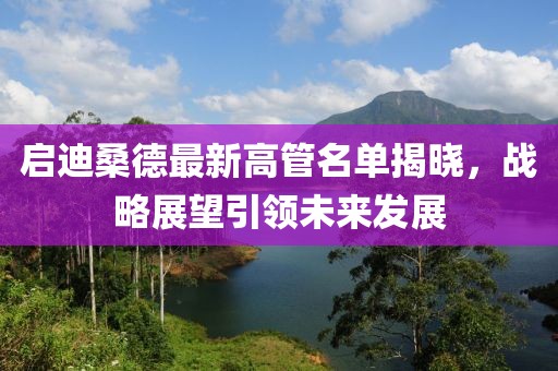 启迪桑德最新高管名单揭晓，战略展望引领未来发展