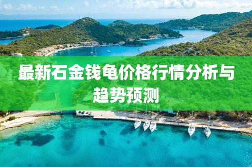最新石金钱龟价格行情分析与趋势预测