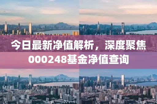 今日最新净值解析，深度聚焦000248基金净值查询