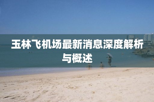 玉林飞机场最新消息深度解析与概述