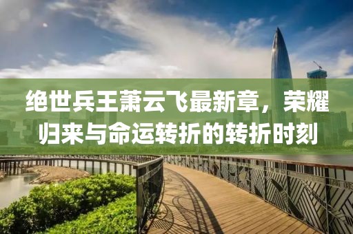 绝世兵王萧云飞最新章，荣耀归来与命运转折的转折时刻