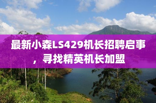 最新小森LS429机长招聘启事，寻找精英机长加盟