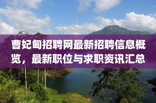 曹妃甸招聘网最新招聘信息概览，最新职位与求职资讯汇总