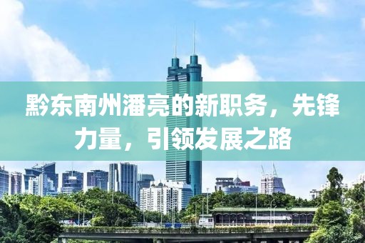 黔东南州潘亮的新职务，先锋力量，引领发展之路